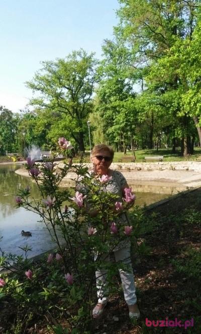 Lucyna, Female, 74, Grudziądz, Polska, Photo: 2