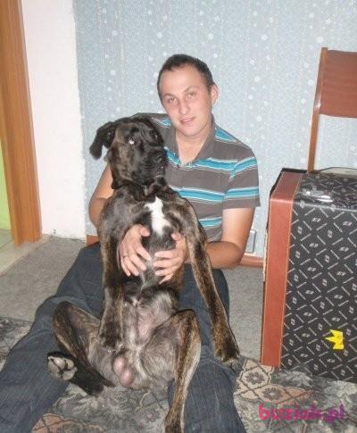 Daniel, Mężczyzna, 39, Toruń, Polska, Zdjęcie: 3