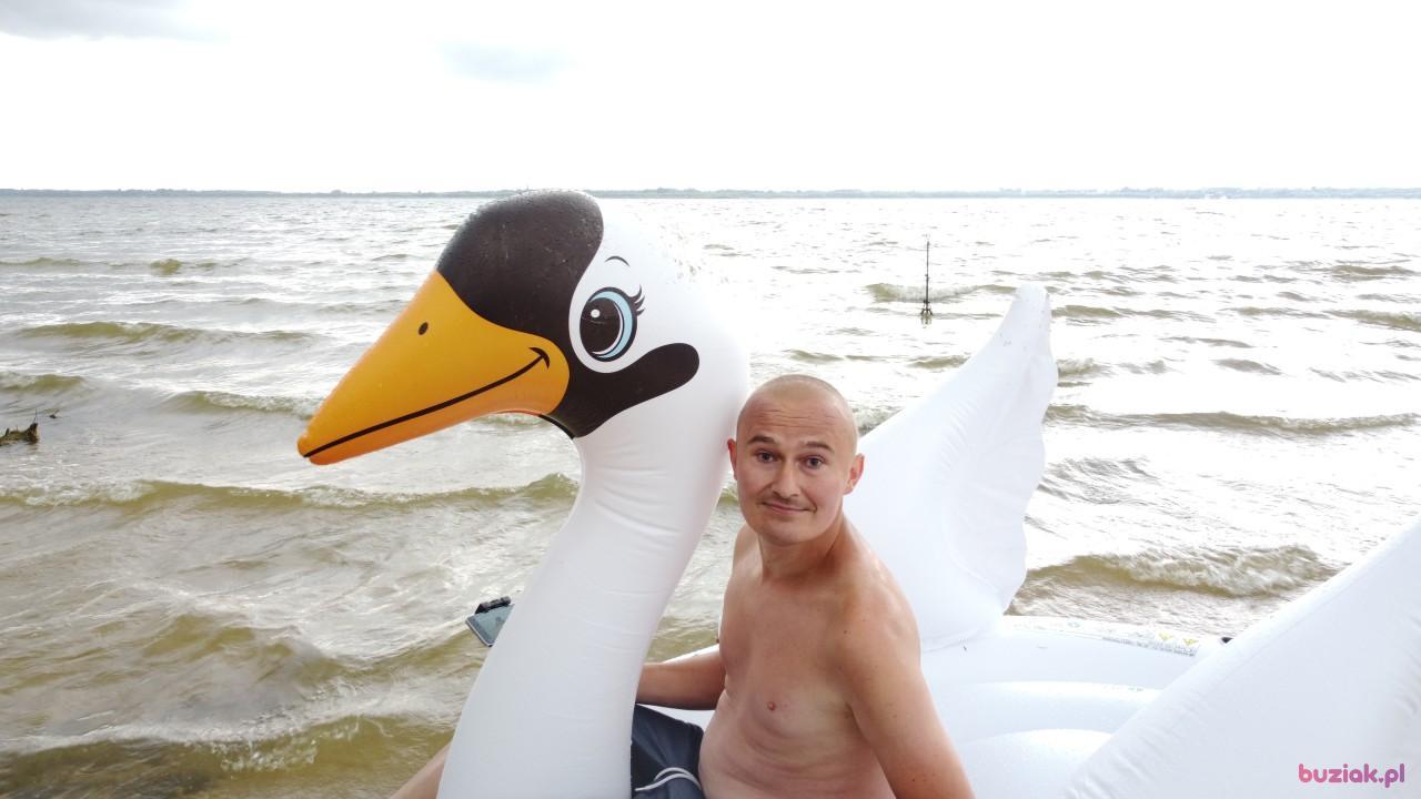Michał, Male, 37, Zgierz, Polska, Photo: 534