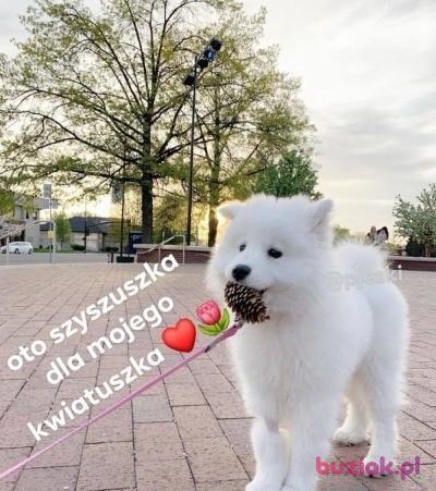 weronika, Female, 26, Olsztynek, Polska, Photo: 2