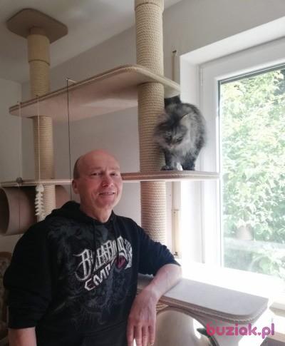 bogdan, Male, 64, Ingolstadt, Niemcy, Photo: 14