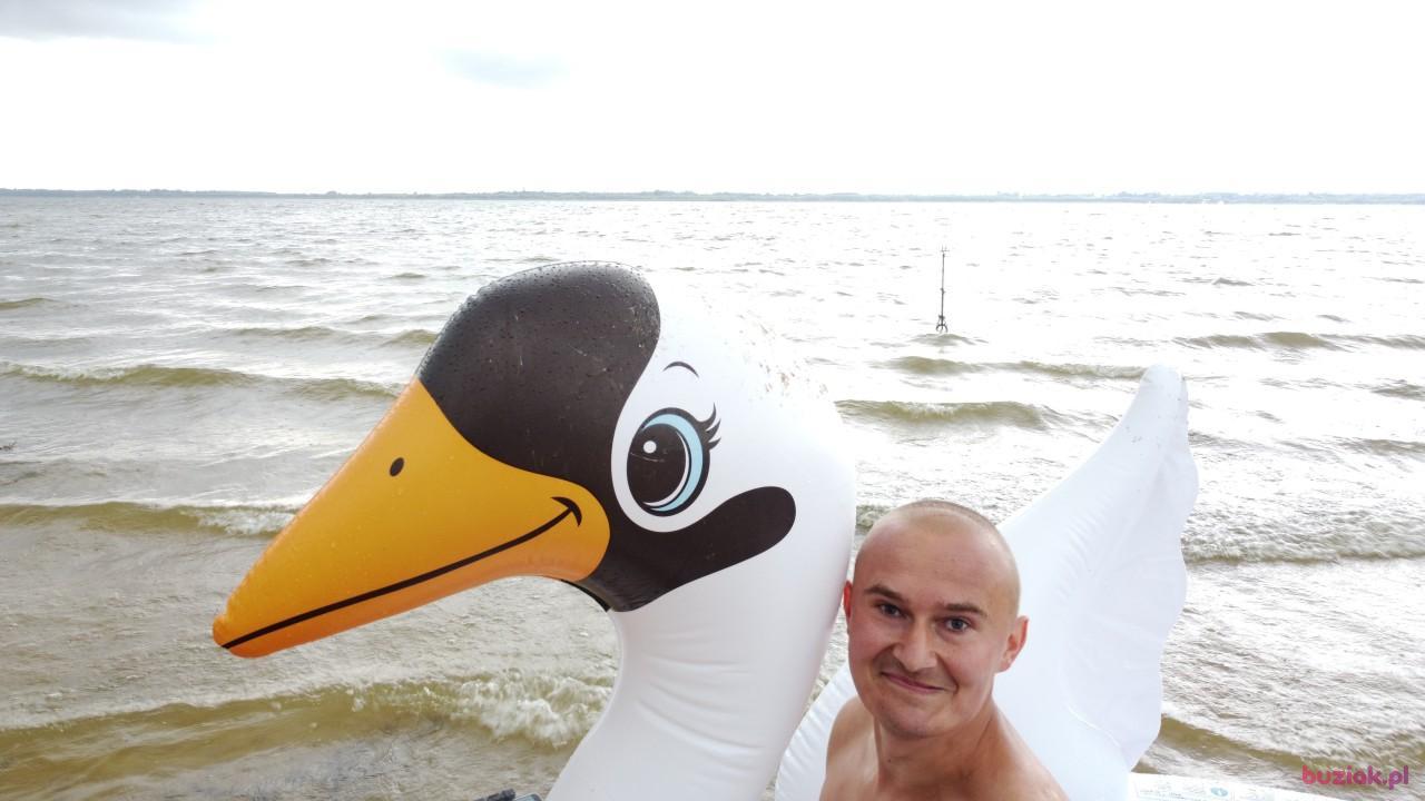 Michał, Male, 37, Zgierz, Polska, Photo: 529