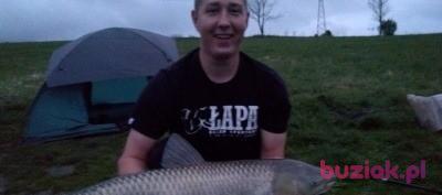 kamil, Male, 29, Heilbronn, Niemcy, Photo: 2
