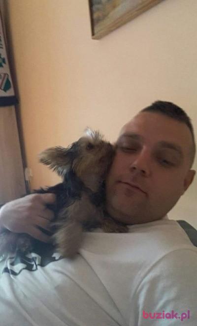 Dawid, Mężczyzna, 36, Warszawa, Polska, Zdjęcie: 2