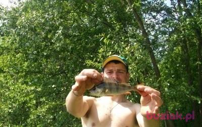 Maks, Male, 39, Kłodzko, Polska, Photo: 2