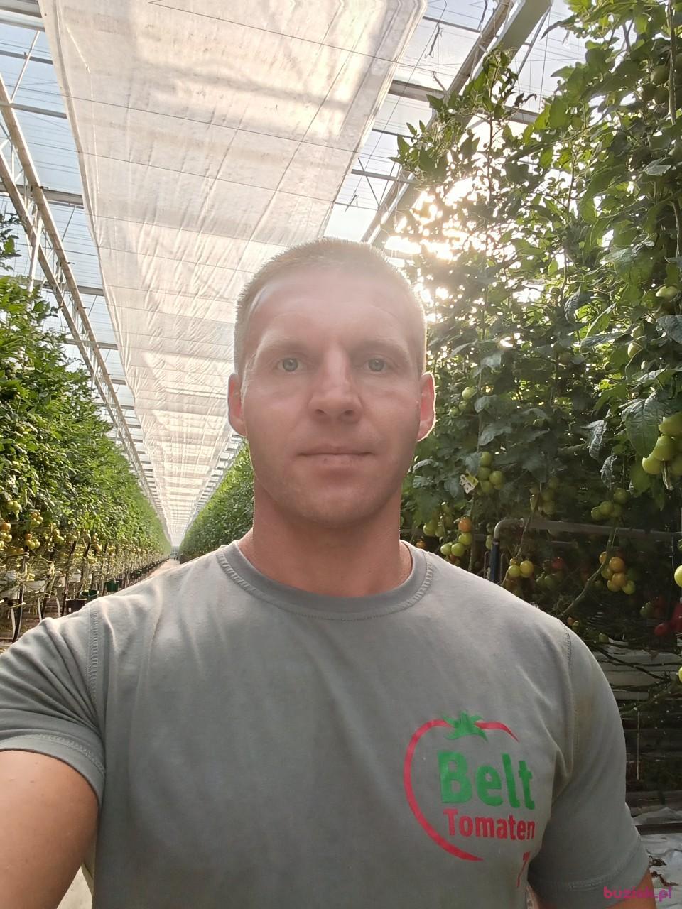 marcin, Mężczyzna, 38, Zwolle, Holandia, Zdjęcie: 3