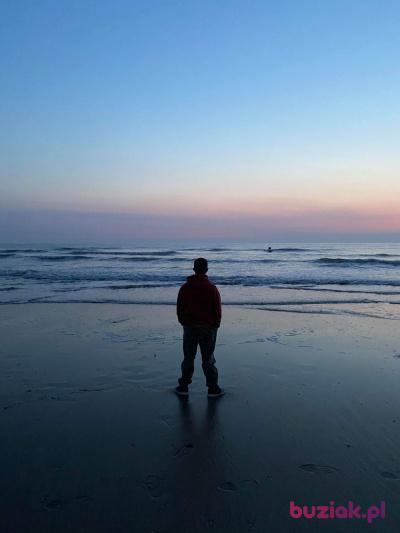 Damian, Mężczyzna, 37, Arnhem, Holandia, Zdjęcie: 4
