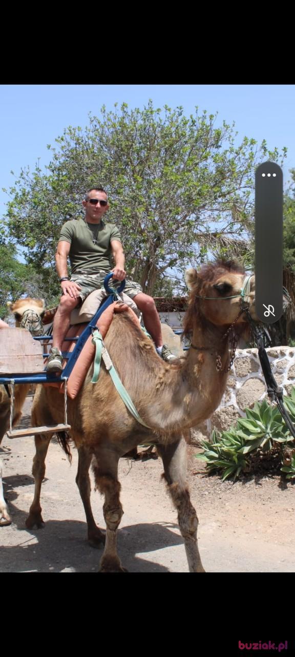 Dawid, Mężczyzna, 45, Toruń, Polska, Zdjęcie: 3