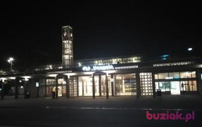 Piotr , Mężczyzna, 48, Holandia, Zdjęcie: 5