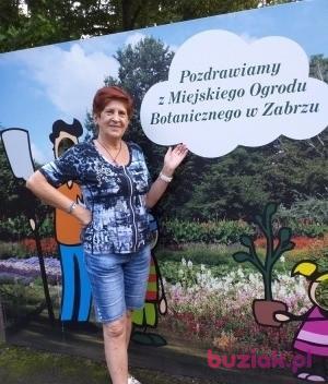 Halina, Kobieta, 74, Zabrze, Polska, Zdjęcie: 7