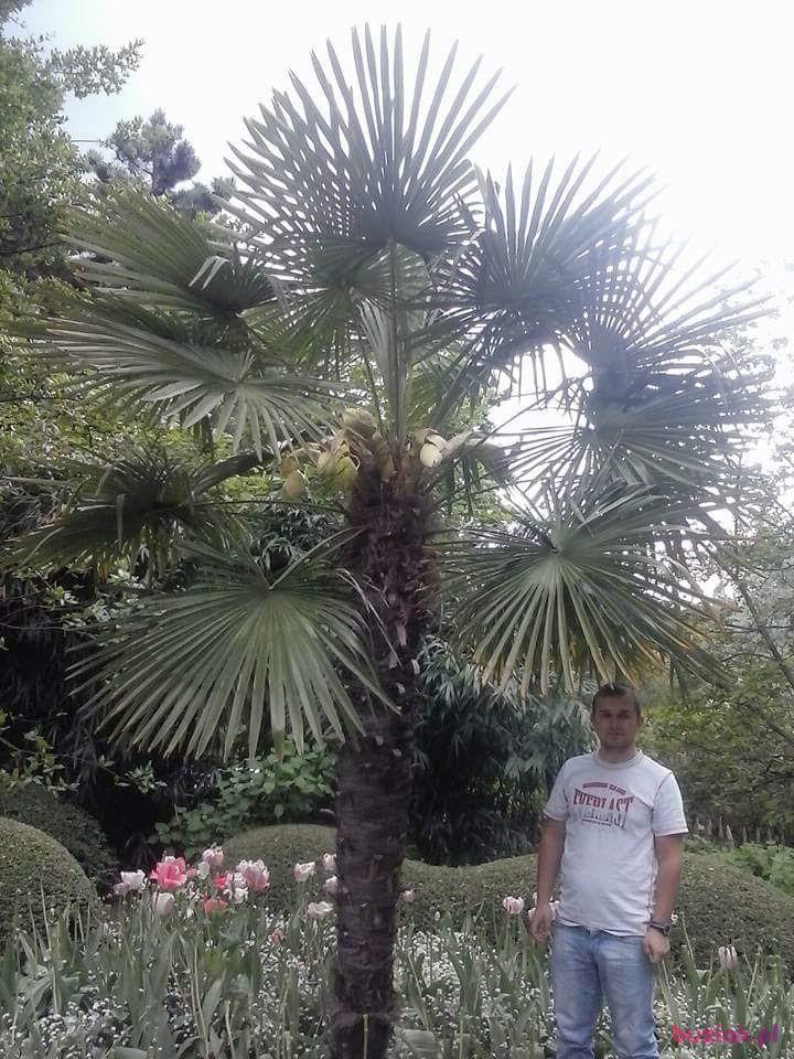 Kamil, Male, 32, Białystok, Polska, Photo: 5
