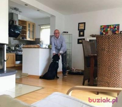 Peter, Male, 52, Cologne, Niemcy, Photo: 1