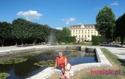 Teresa, Female, 70, Kraków, Polska, Photo: 3