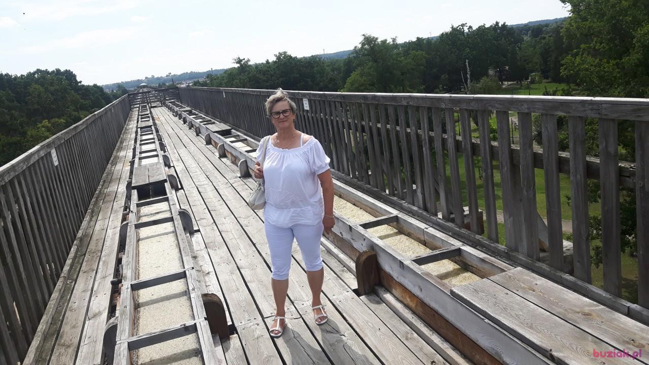 Katrin, Female, 62, Golub-Dobrzyń, Polska, Photo: 1