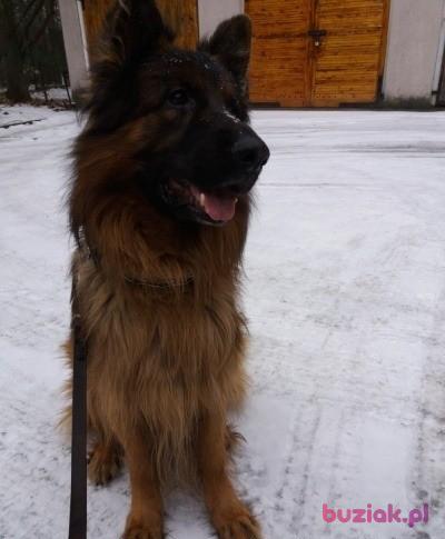 Andrzej, Male, 57, Legionowo, Polska, Photo: 9