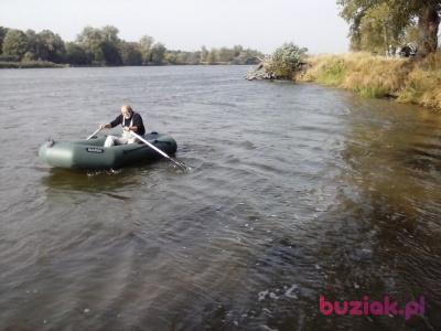 Andrzej, Male, 68, Wrocław, Polska, Photo: 9