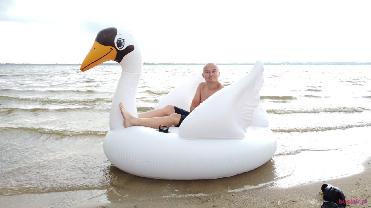 Michał, Male, 37, Zgierz, Polska, Photo: 536