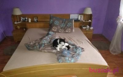 Sierhey Bubka, Mężczyzna, 37, Holandia, Zdjęcie: 2