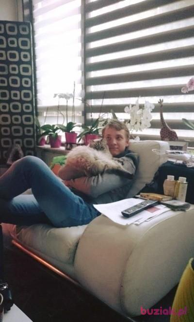 Adrian, Mężczyzna, 33, Oss, Holandia, Zdjęcie: 2