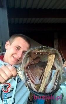 krzysztof, Mężczyzna, 30, Kętrzyn, Polska, Zdjęcie: 2