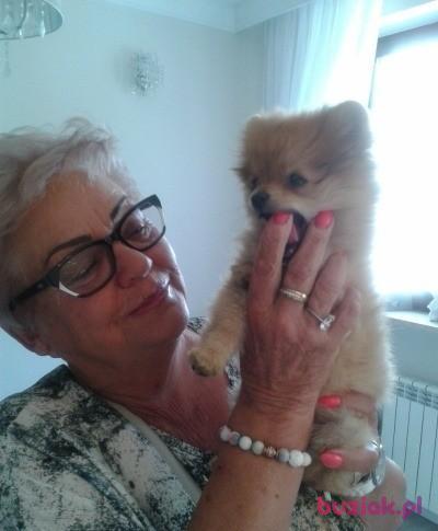 Anna, Kobieta, 77, Warszawa, Polska, Zdjęcie: 4