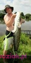 piotr, Mężczyzna, 51, Gorzów Wielkopolski, Polska, Zdjęcie: 2