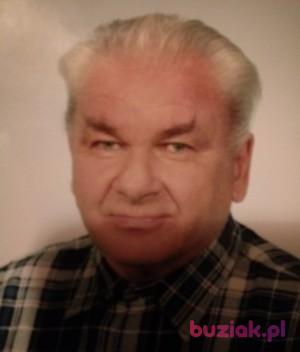 Pawel, Mężczyzna, 69, Witkowo, Polska, Zdjęcie: 1