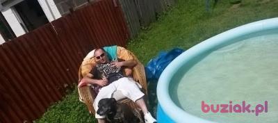 Blazej, Mężczyzna, 39, Wielka Brytania, Zdjęcie: 2