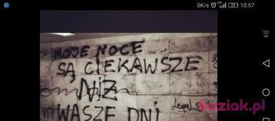 Tasior, Mężczyzna, 40, Kalisz, Polska, Zdjęcie: 5