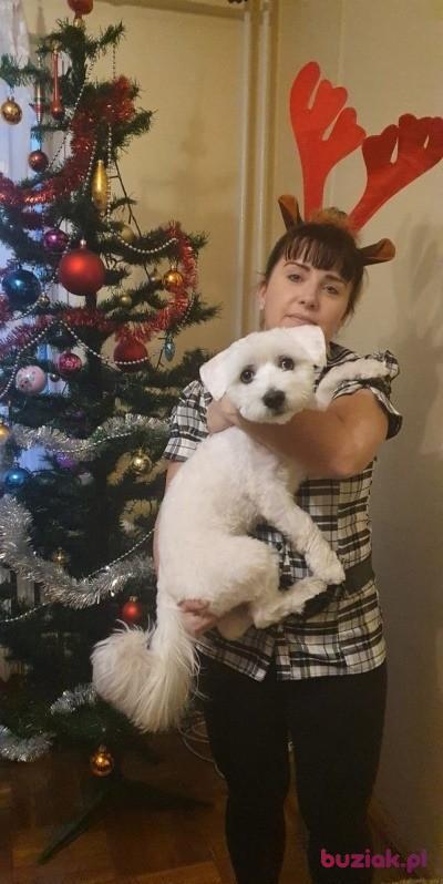 marzena, Kobieta, 47, Bielawa, Polska, Zdjęcie: 5