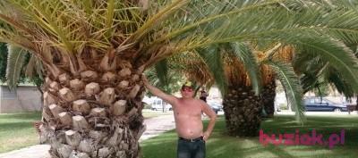 Aaanonimus, Male, 45, Wielka Brytania, Photo: 1