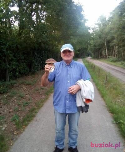 Witold, Mężczyzna, 54, Opole, Polska, Zdjęcie: 9
