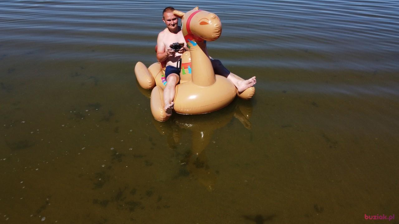 Michał, Male, 37, Zgierz, Polska, Photo: 475