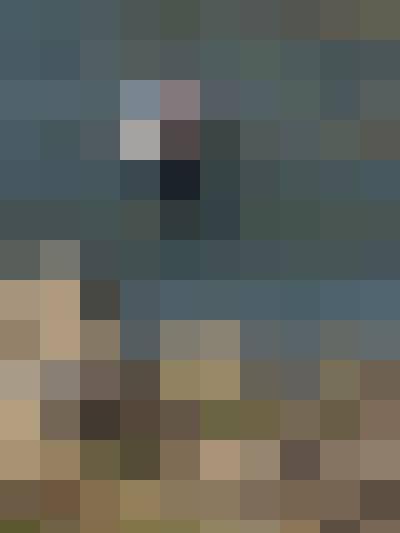 Grzegorz, Mężczyzna, 50, Warszawa, Polska, Zdjęcie: 5