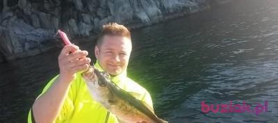 Rafal, Mężczyzna, 44, Wejherowo, Polska, Zdjęcie: 2