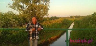 Skory, Mężczyzna, 73, Łabiszyn, Polska, Zdjęcie: 5