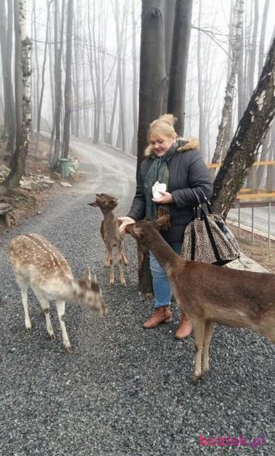 Anita, Female, 54, Cologne, Niemcy, Photo: 4