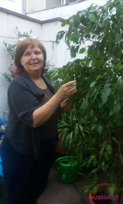 Aga, Female, 70, Cologne, Niemcy, Photo: 3