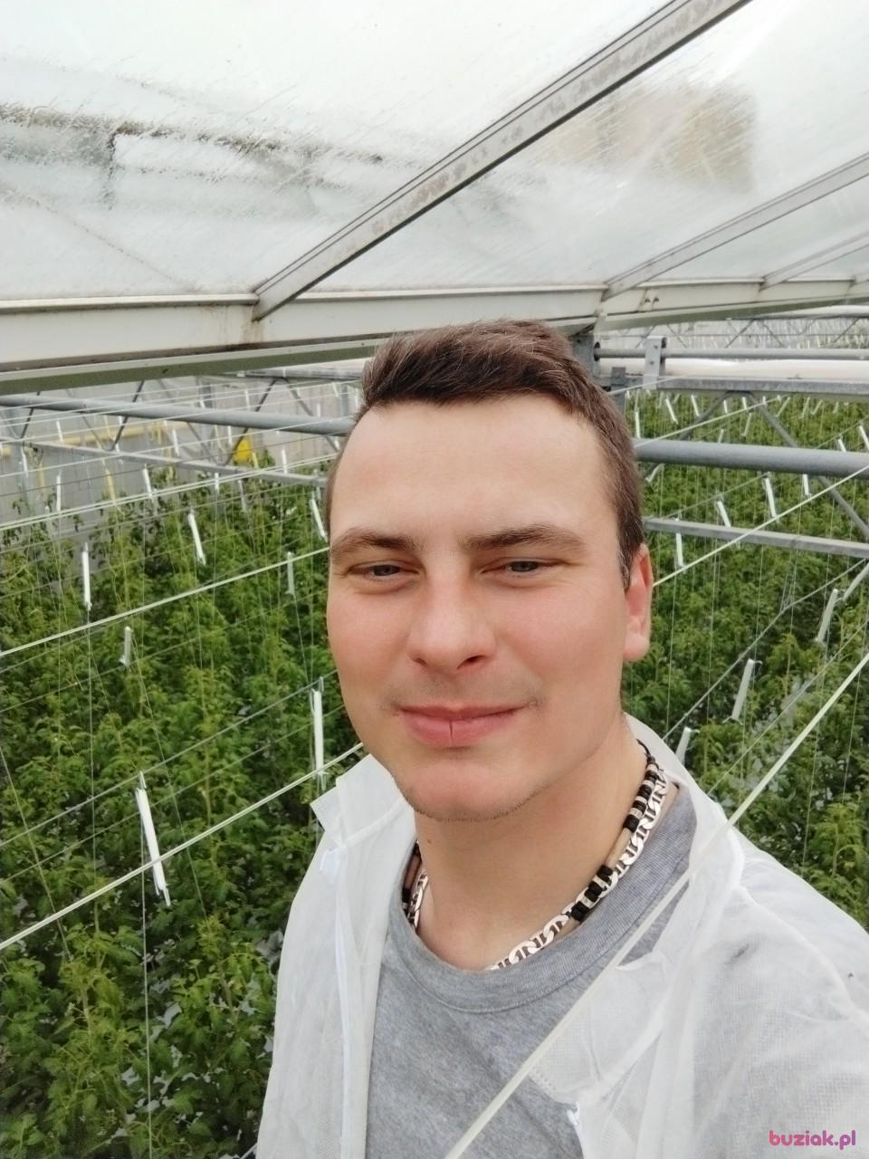 Mar, Male, 35, Haga, Holandia, Photo: 2
