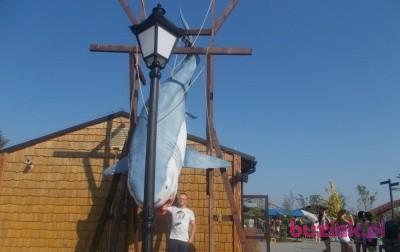 Sebastian, Mężczyzna, 41, Andrychów, Polska, Zdjęcie: 2