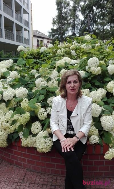Ewa, Kobieta, 67, Wschowa, Polska, Zdjęcie: 1