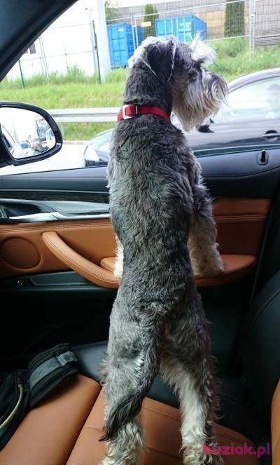 Crist, Male, 55, Cologne, Niemcy, Photo: 4