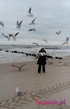 Aneri51, Kobieta, 74, Ostrów Wielkopolski, Polska, Zdjęcie: 3