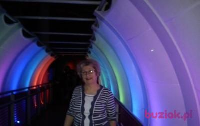 Marysia, Kobieta, 71, Zduńska Wola, Polska, Zdjęcie: 4