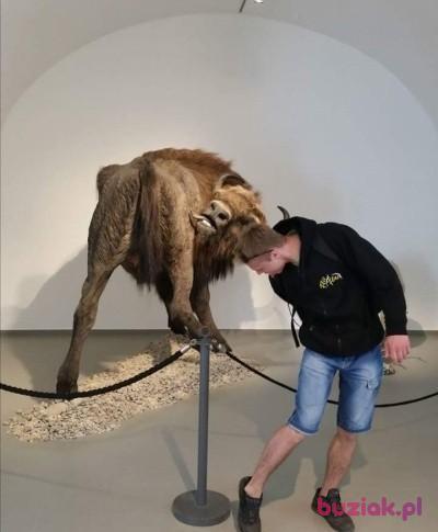 Przemek, Male, 37, Wrocław, Polska, Photo: 2