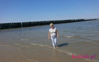 Elżbieta, Female, 61, Włocławek, Polska, Photo: 7