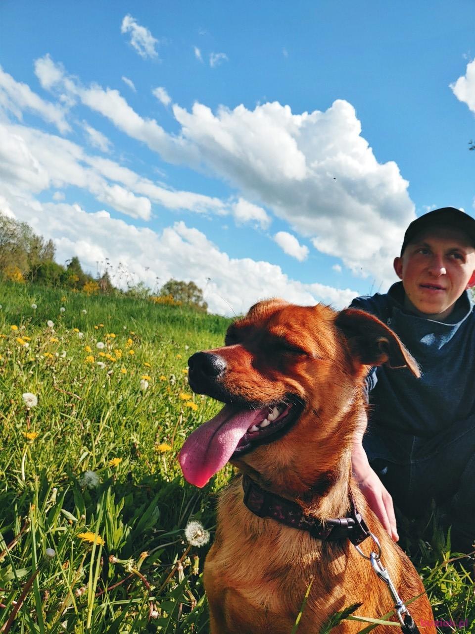 Bartłomiej, Male, 27, Hamburg, Niemcy, Photo: 3