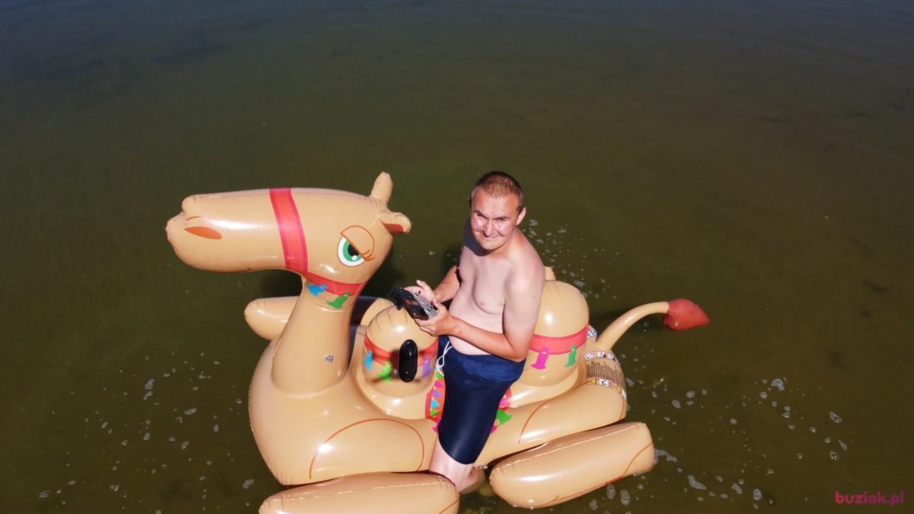 Michał, Male, 37, Zgierz, Polska, Photo: 463