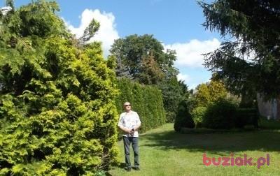 Agroman, Male, 66, Koszalin, Polska, Photo: 2