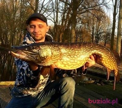 Szymon, Male, 42, Oświęcim, Polska, Photo: 2